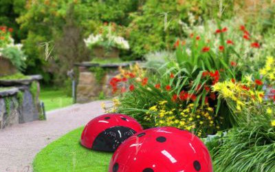 景區(qū)草坪里擺放的兩只玻璃鋼瓢蟲(chóng)雕塑