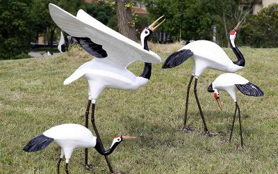 公園草坪上幾只玻璃鋼仿真動物丹頂鶴雕塑