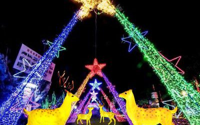 公園景區玻璃鋼彩繪照明發光梅花鹿雕塑