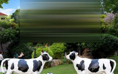 景區擺放一家三口卡通玻璃鋼奶牛雕塑