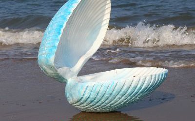 公園擺放的張開的玻璃鋼彩繪貝殼雕塑