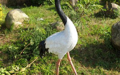 戶外玻璃鋼彩繪仿真動物公園景觀仙鶴雕塑