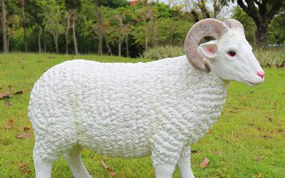 草坪上一只玻璃鋼仿真綿羊雕塑