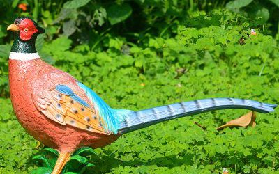 公園里擺放的玻璃鋼彩繪山雞雕塑
