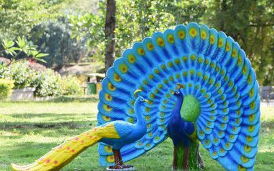 動物園玻璃鋼仿真玻璃鋼彩繪孔雀雕塑