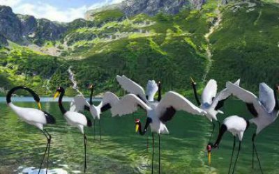 池塘中一群玩耍的玻璃鋼仿真仙鶴雕塑