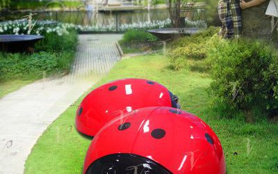 公園景區(qū)創(chuàng)意玻璃鋼彩繪七星瓢蟲(chóng)雕塑