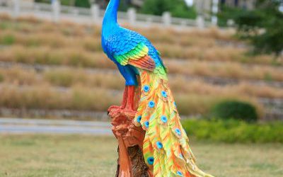 公園草坪擺放的玻璃鋼彩繪孔雀雕塑