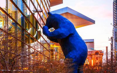 酒店戶外大型藍色幾何把窗戶玻璃鋼熊雕塑