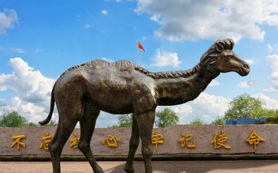 公園里擺放的小駝峰玻璃鋼噴漆駱駝雕塑